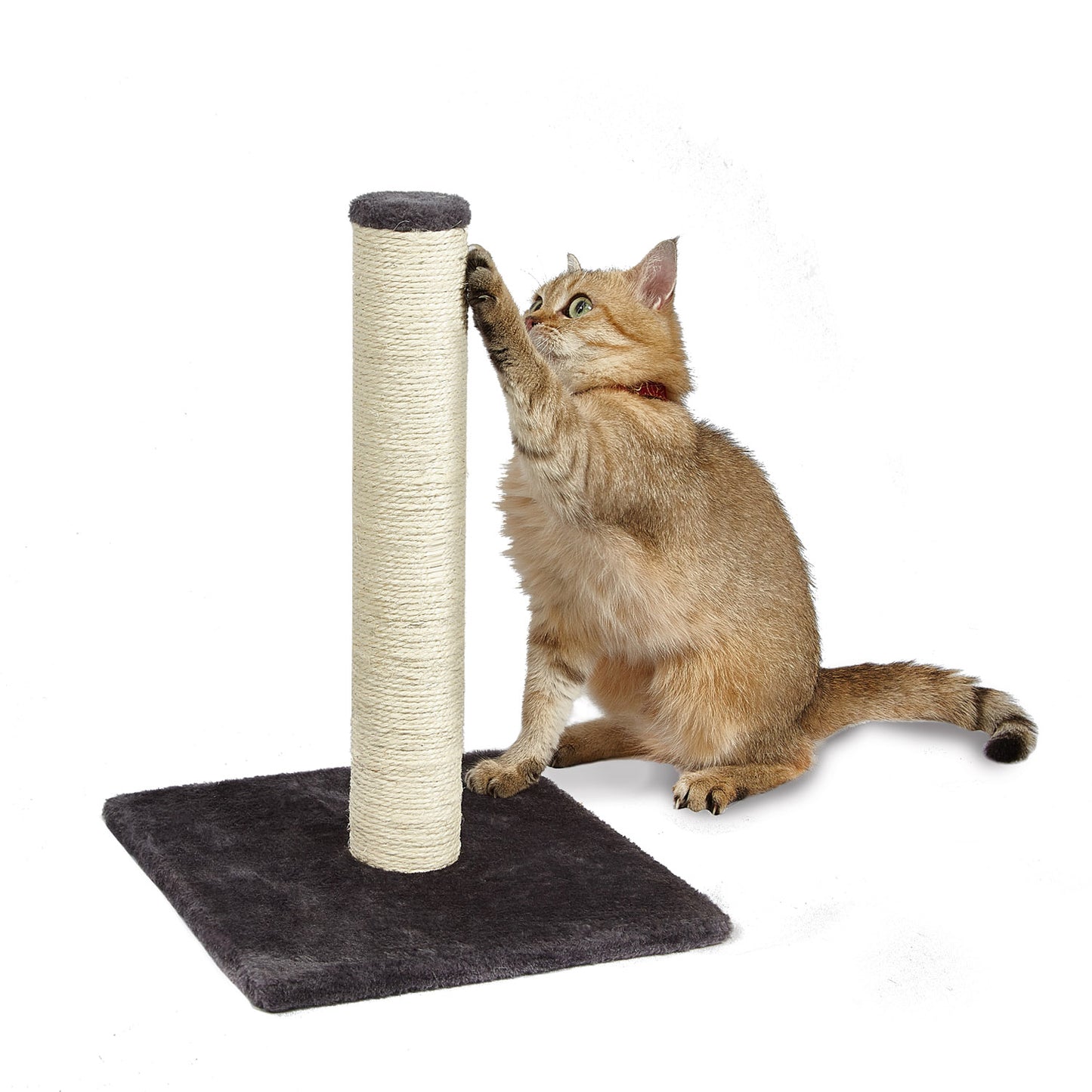 Meerveil Mini árbol rascador para gatos, tipo básico