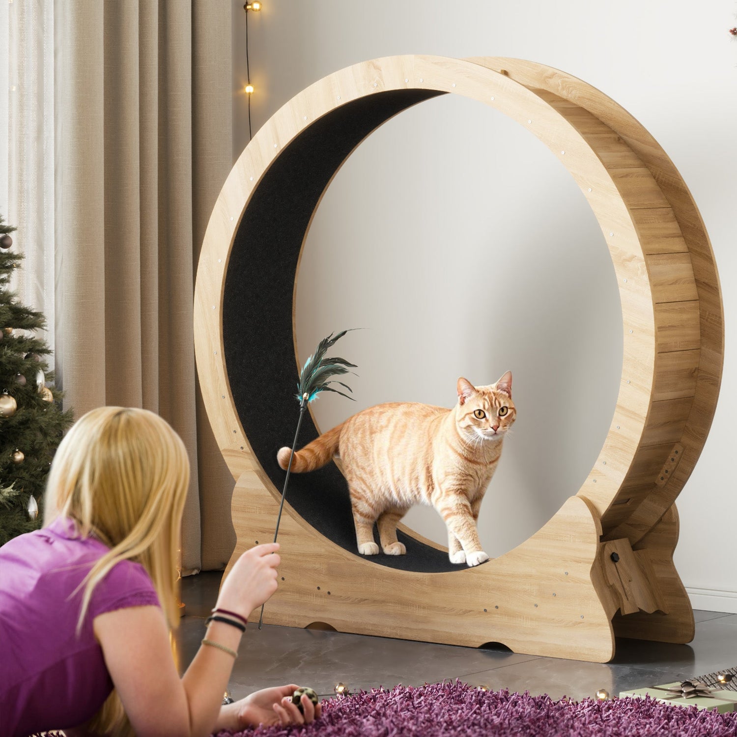 Pet Supplies